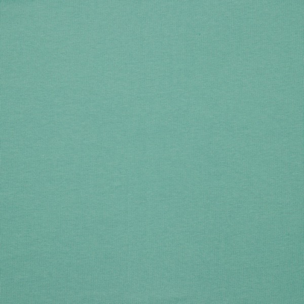 French Terry | Sommersweat | UNI | vintage grün
