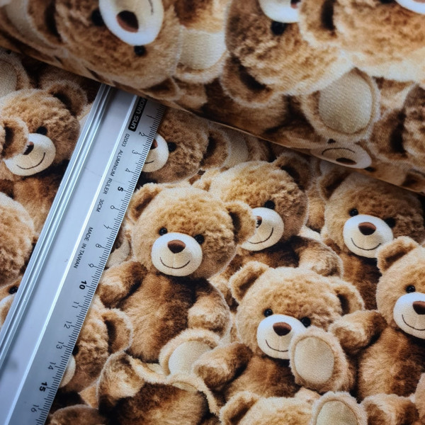 Sommersweat | French Terry | bedruckt |Teddymeer | bunt