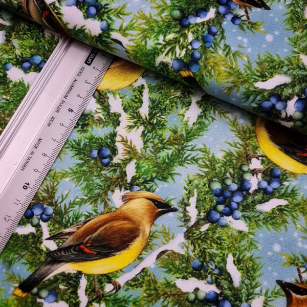 Baumwolle | bedruckt | Robert Kaufmann | winter bird | bunt