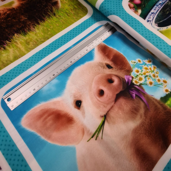 Baumwolle | bedruckt | Robert Kaufmann | sweet animals | bunt