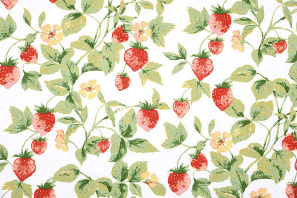 Canvas | bedruckt | Erdbeeren | creme